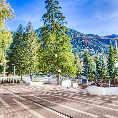 Готель Vila Pinul Si Mesteacanul Пояна-Брашов Екстер'єр фото