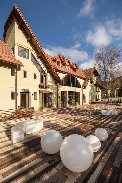Готель Vila Pinul Si Mesteacanul Пояна-Брашов Екстер'єр фото